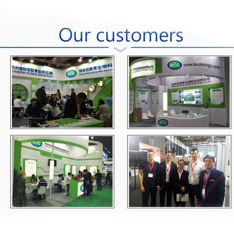 Leech Extract Powder Manufacturer - Hirudin 300-1200 ATU/G CAS 113274-56-9