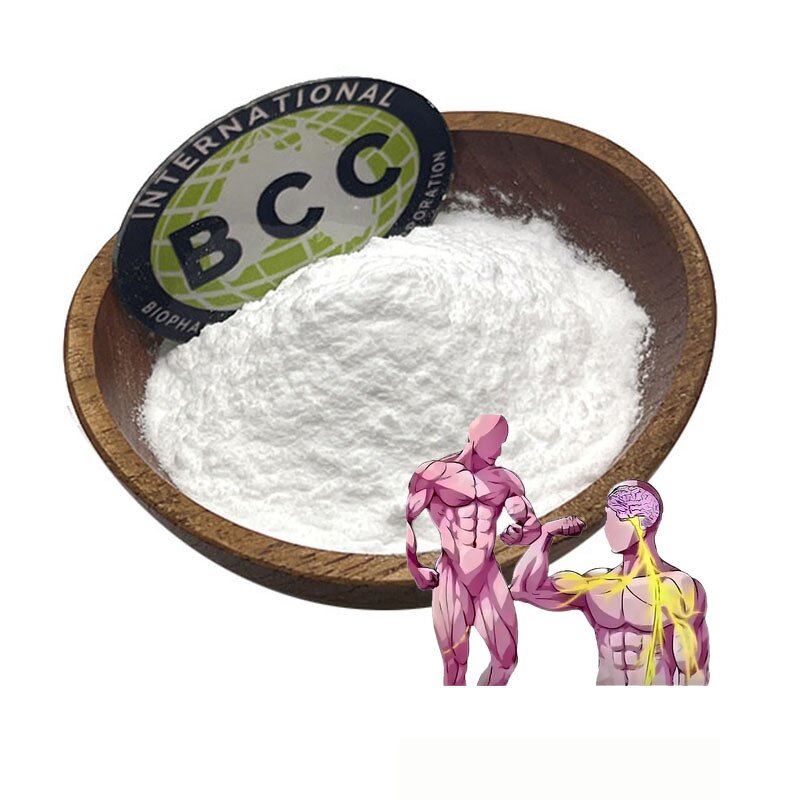 Creatine Monohydrate Powder Manufacturer - 500 Mesh Micronized Water Soluble & High Purity