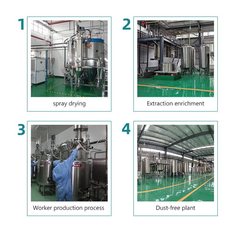 Freeze-Dried Fruit Powder Manufacturer - 100% Natural Organic Fruit & Vegetable