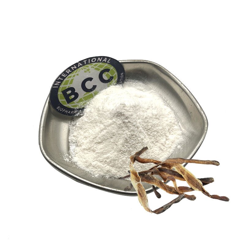 Earthworm Extract Powder Manufacturer - Natural Pure Dried Protein & High Quality