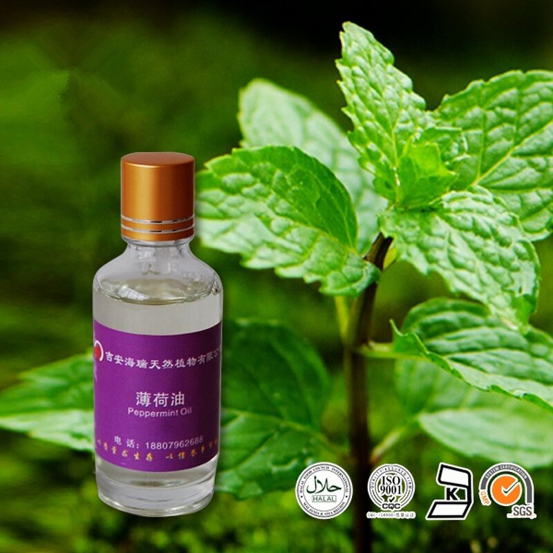 Essential Oil Manufacturer - Private Label Stainless Steel Ball Roll Bottle 10ml Pure Aromatherapy - Roll on Peppermint Oil