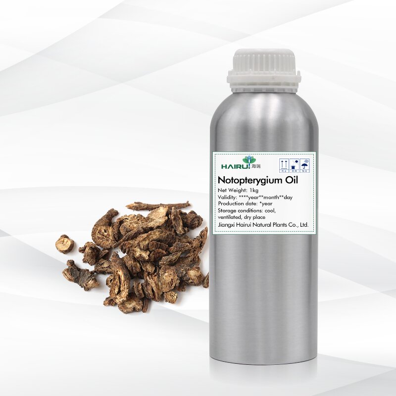 Notopterygium Incisum Oil Manufacturer - Wholesale 100ml Bottle Herbal - Healthy Care Product Notopterygium Root Extract