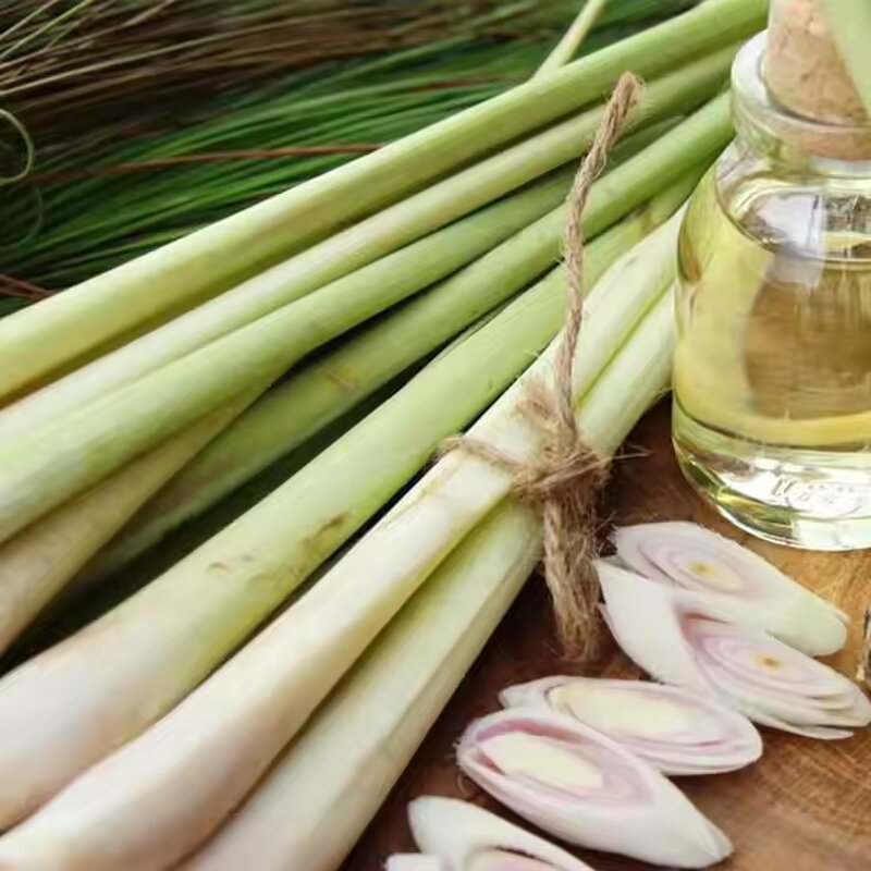 Lemongrass Hydrosol Manufacturer - Hot Selling Factory Price Private Label Free Sample - 500ml Summer Skin Care Pure Natural Organic