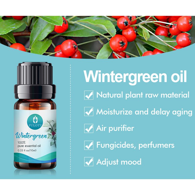 Methyl Salicylate Manufacturer - Factory Wholesale Bulk Free Sample Private Label - Skin Care Pure Natural Organic Wintergreen Essential Oil