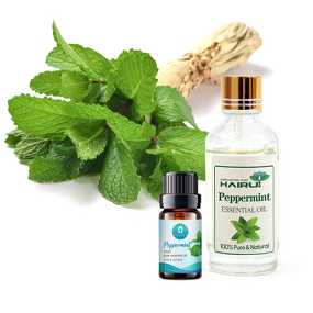 Essential Oil Manufacturer - Factory Private Label - Hair Skin Body Oil Peppermint Oil