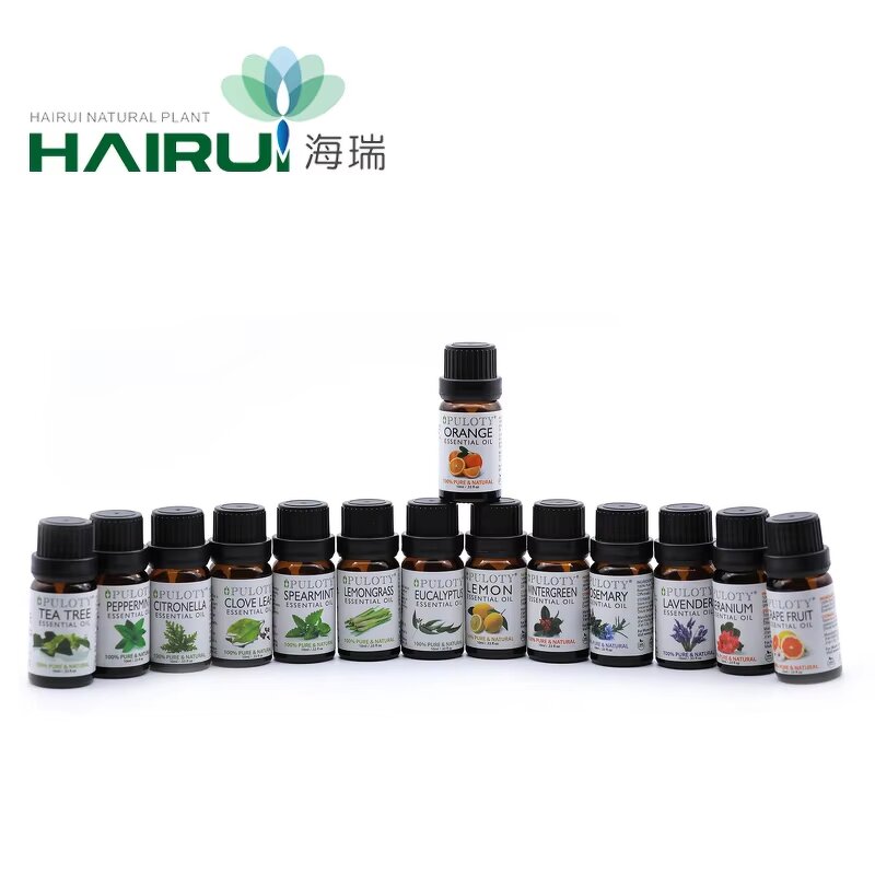 Essential Oil Blend Manufacturer - Hot Selling Aromatherapy 10ml - Tangerine Peppermint Tea Tree Lemon Orange Oil