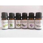Essential oil gift set