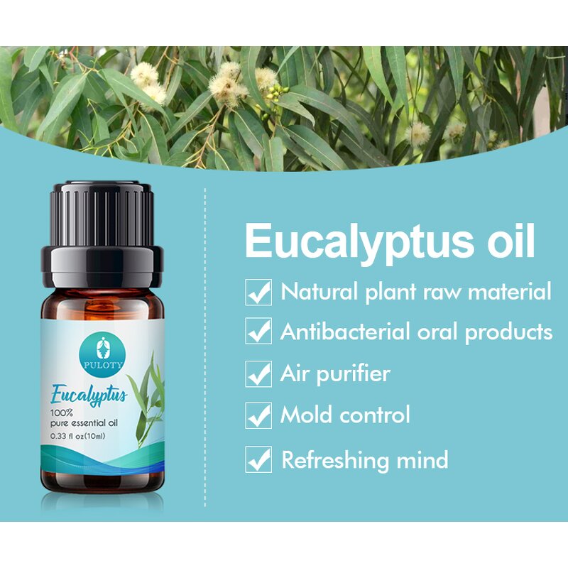 Eucalyptus Oil Manufacturer - Factory Wholesale Bulk Free Sample Private Label Hair Care - Massage Pure Natural Essential Oil
