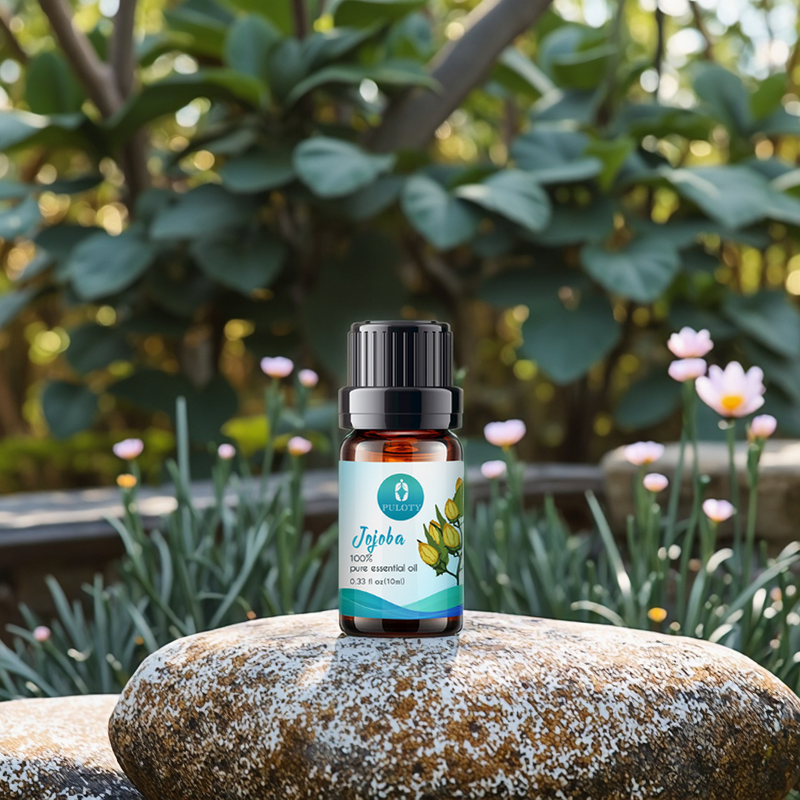 Jojoba Oil Manufacturer - Plant Extract Essential Oil - Skin Moisturize Improve Hair Quality Carrier Oil