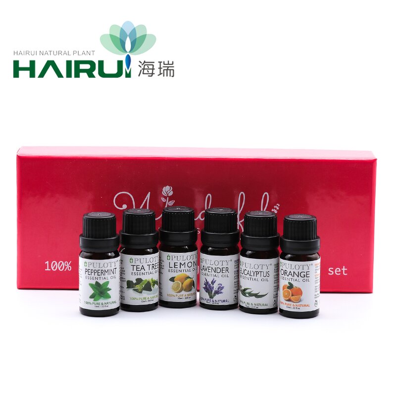 Eye Essential Oil Gift Set Manufacturer - Hot Selling 100% Pure Natural Plant 10ml OEM/ODM - Eye Care