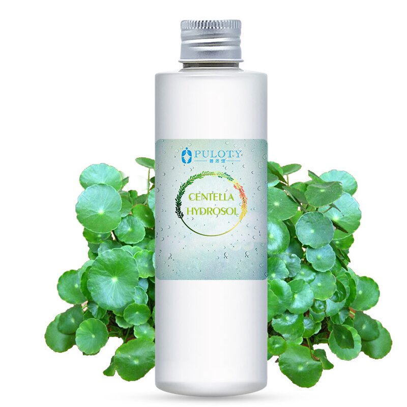 Centella Hydrosol Manufacturer - 100% Natural Plant Extract Mild - Moisturize Soothe Skin Women Free Sample