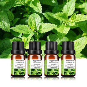 Essential Oil Manufacturer - Private Label Diffusing 10ml - Lavender Eucalyptus Lemon Tea Tree Orange Peppermint Diffuser