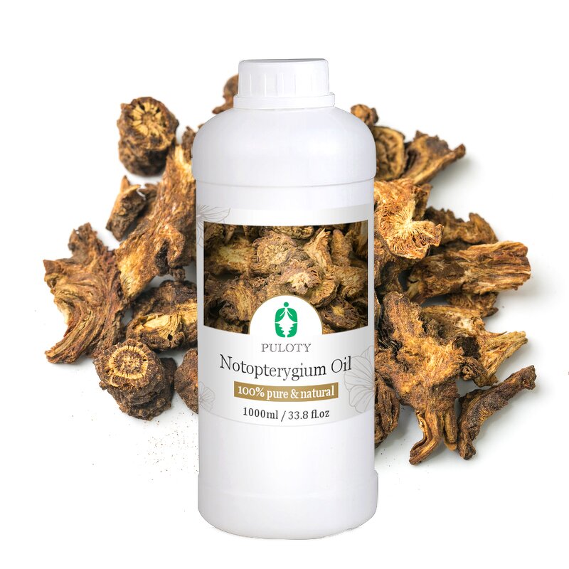 Notopterygium Incisum Oil Manufacturer - Wholesale 100ml Bottle Herbal - Healthy Care Product Notopterygium Root Extract