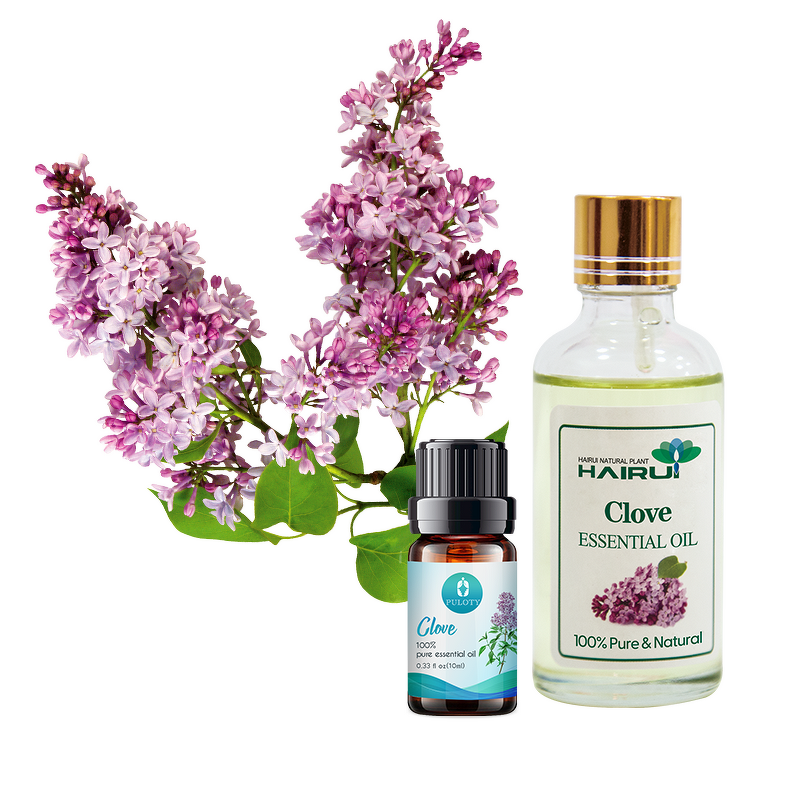 Clove Oil Manufacturer - Factory Wholesale Bulk Free Sample Private Label Hair Care - Toothache Pure Natural Organic Essential Oil
