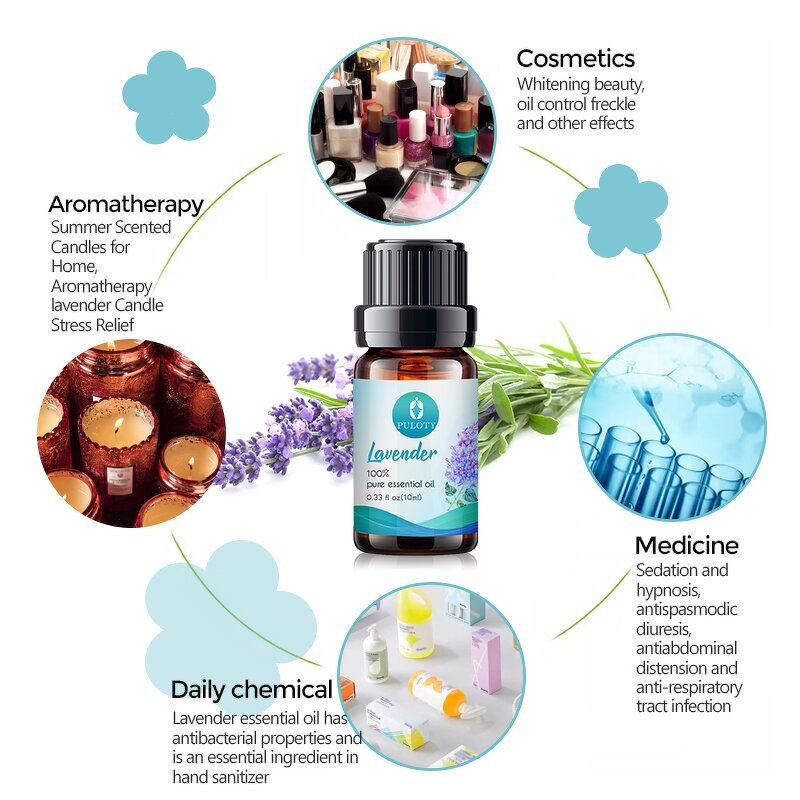 Hair Oil Manufacturer - Top Quality 30ml - Camellia Argan Cypress Ginger Lavender Blend Natural Hair Oil