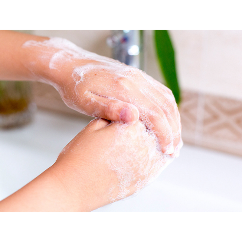 Paper Soap Manufacturer - Portable Dissolvable Petal Sheets Disposable