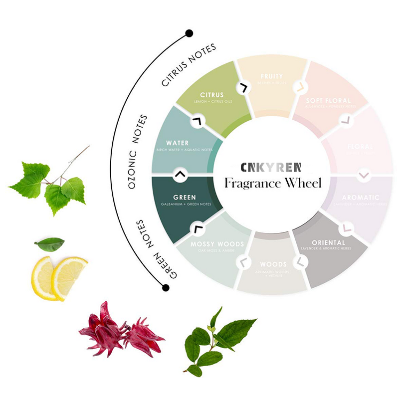 Shampoo Manufacturer - Wholesale 100% Natural Herbal - Deep Cleaning Anti Dandruff Nourishing