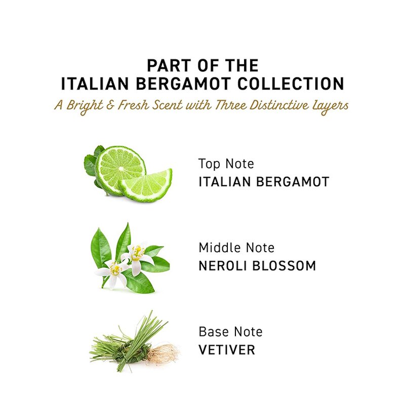 Body Wash Manufacturer - Italian Bergamot - Perfumed Nourishing Refreshing Herbal Skin Care