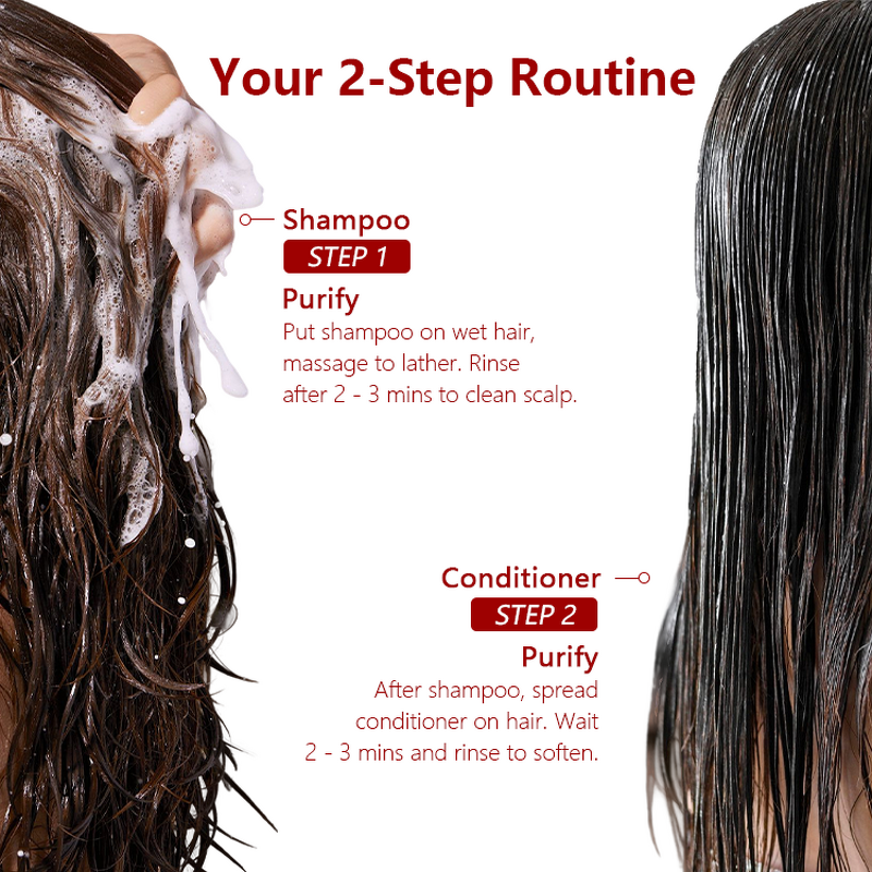 Hair Care Gift Set Manufacturer - Christmas Limited Edition - Shampoo Conditioner Argan Oil Dry Damaged Hair Smooth