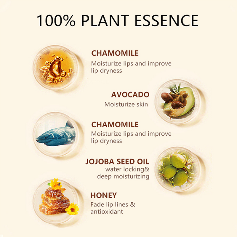 Lip Balm Stick Manufacturer - 100% Plant Essence - Women 5g Nourishing Moisturizing Honey Dry Lips