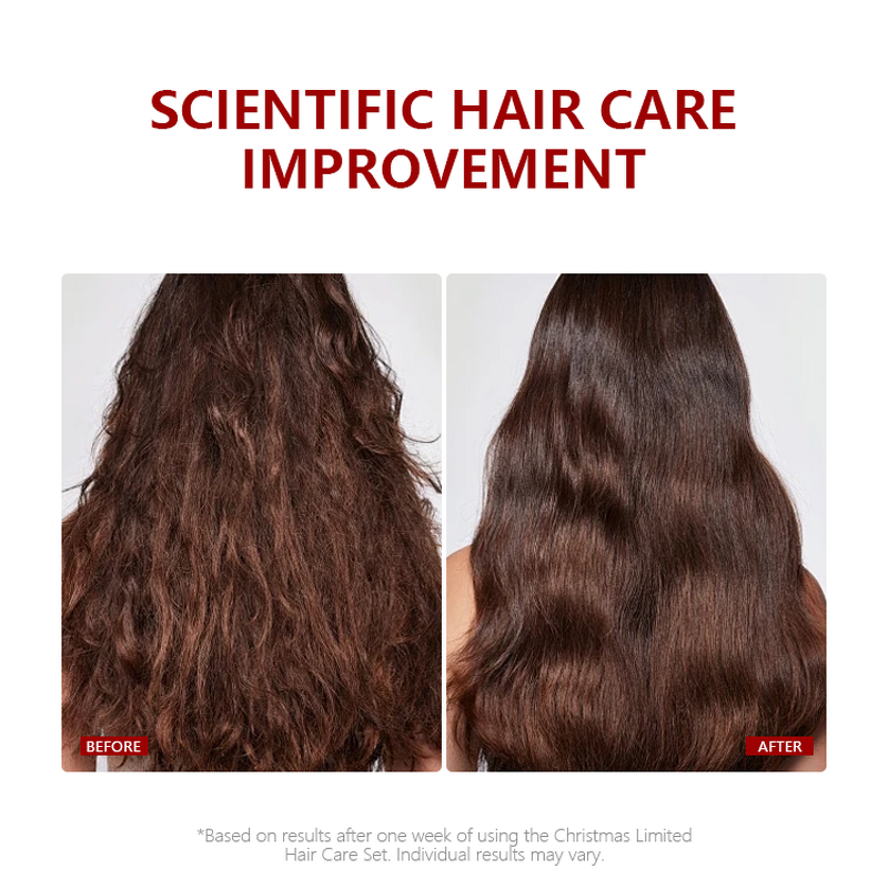 Hair Care Gift Set Manufacturer - Christmas Limited Edition - Shampoo Conditioner Argan Oil Dry Damaged Hair Smooth