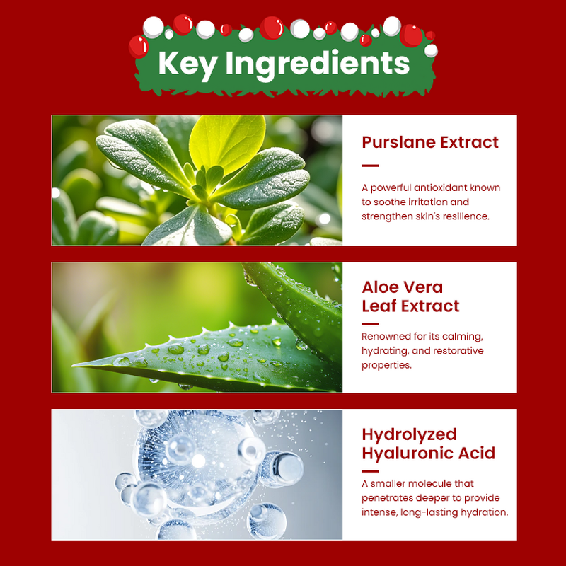 Face Lotion Manufacturer - Christmas Limited Edition - Sensitive Skin Soothing Repair Hyaluronic Acid