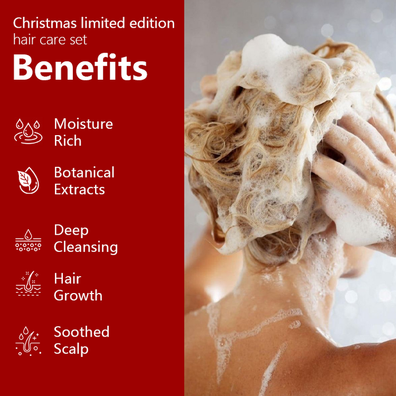 Hair Care Gift Set Manufacturer - Christmas Limited Edition - Shampoo Conditioner Argan Oil Dry Damaged Hair Smooth