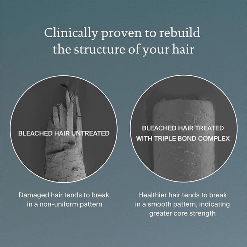 Hair Mask Manufacturer - Customized Encapsulated Cellular - Defends Thermal Damage Color Moisturizing Repair