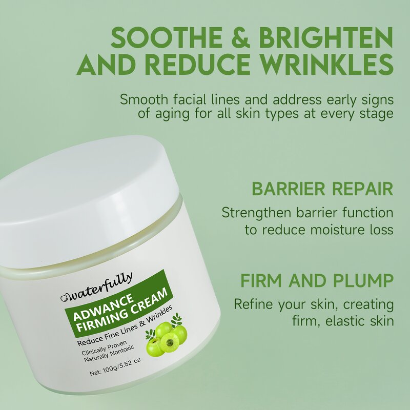 Face Care Cream Manufacturer - Korean Glass Skin Reduce Wrinkles Deep Hydration with Amla & OEM