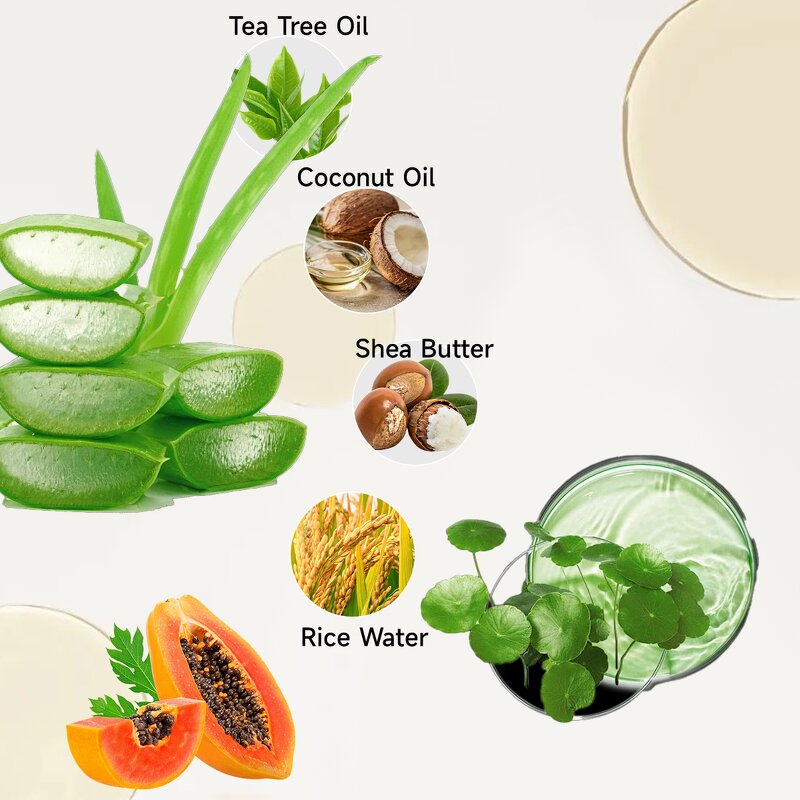 Sunscreen Lotion Manufacturer - Korean Spf 50 Centella with Aloe Vera Preventing Uva Uvb Mineral