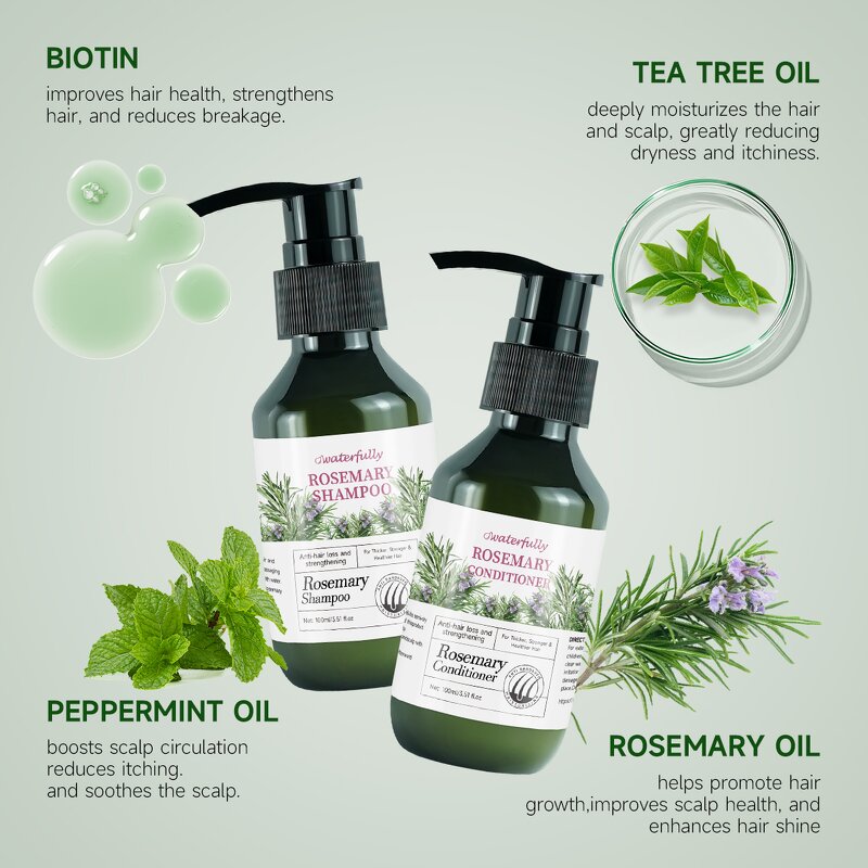 Shampoo Conditioner Manufacturer - Anti Dandruff Oil Control Organic Rosemary Tea Tree Oil Hair Growth & Wholesale