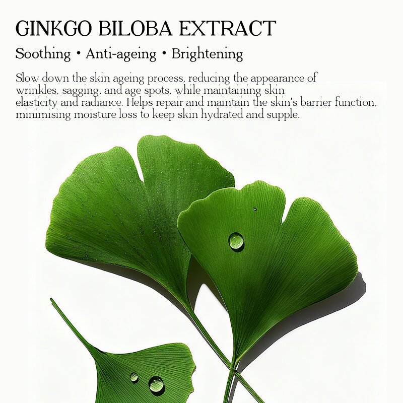 Toner Manufacturer - Korea Skincare Organic Ginkgo Plant Extract Brightening Anti Acne Soothing Sensitive with Bakuchiol Anti-age