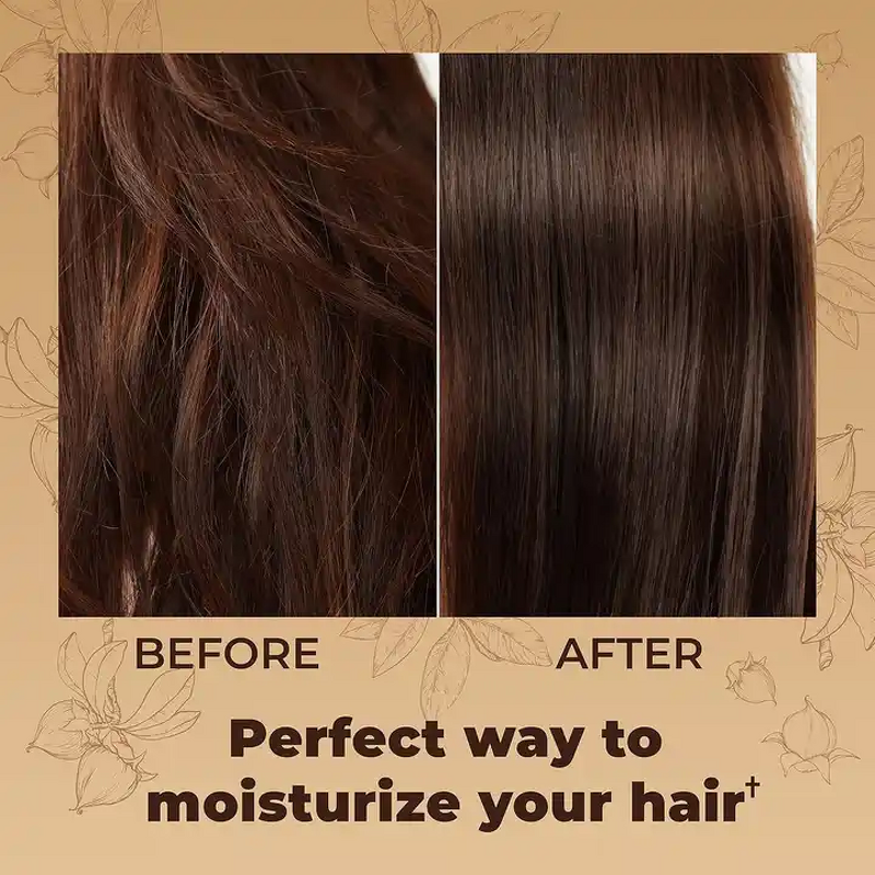 Hair Treatment Mask Manufacturer - Collagen Sulfate-free Vegan Argan Oil Maca Keratin for Damaged Dry Protein & Wholesale