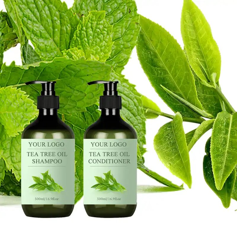 Hair Growth Shampoo Manufacturer - 500ml Tea Tree Oil Biotin Anti-Dandruff Rosemary for Lice Scalp Care