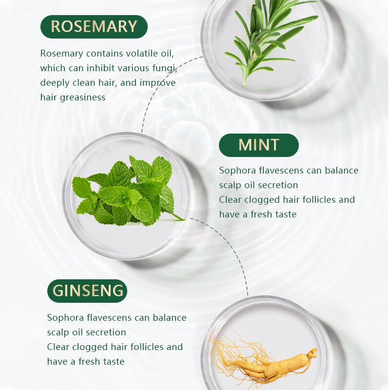 Hair Growth Oil Manufacturer - Rosemary Mint Scalp Care Natural Hot Oil Treatment Massage