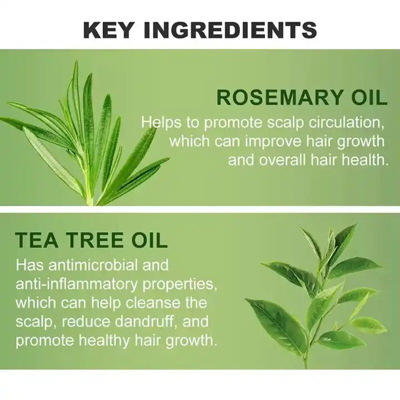 Hair Growth Shampoo Manufacturer - 500ml Tea Tree Oil Biotin Anti-Dandruff Rosemary for Lice Scalp Care