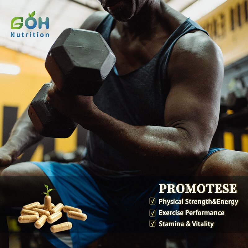 Men's Health Complex Capsules Manufacturer - 6in1 Herbal Complex OEM