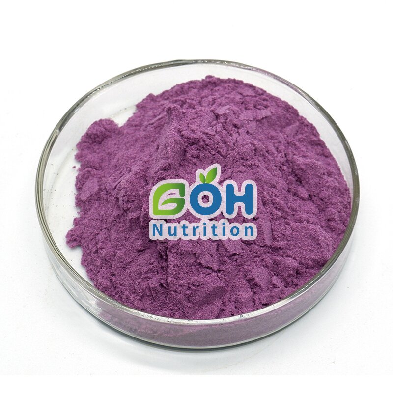 Blueberry Fruit Powder Manufacturer - Spray Dried/Freeze Dried OEM Private Label GOH