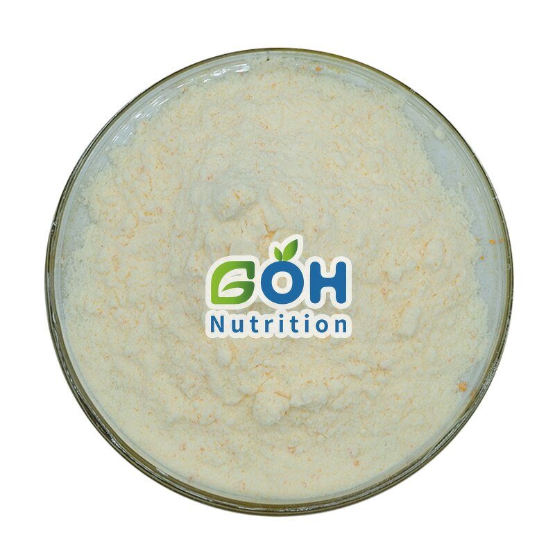 Lychee Juice Powder Manufacturer - Spray Dried/Freeze Dried OEM Private Label GOH