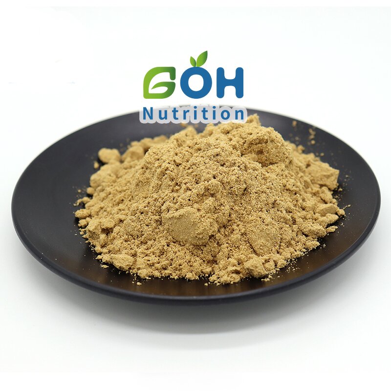 Reishi Mushroom Extract Manufacturer - Pure Supply Hot Selling GOH