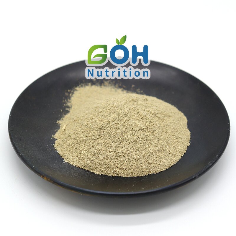 Ursolic Acid Extract Manufacturer - 90% Ursolic Acid Best Price