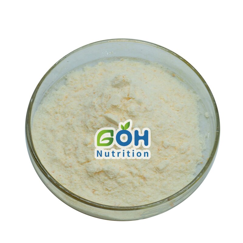 Lychee Juice Powder Manufacturer - Spray Dried/Freeze Dried OEM Private Label GOH