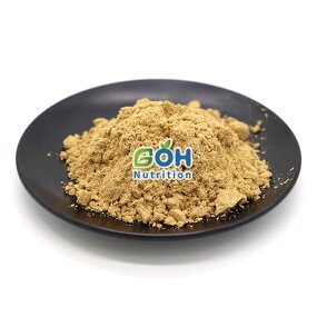 Sparassis Crispa Extract Powder Manufacturer - 10:1 OEM Private Label GOH