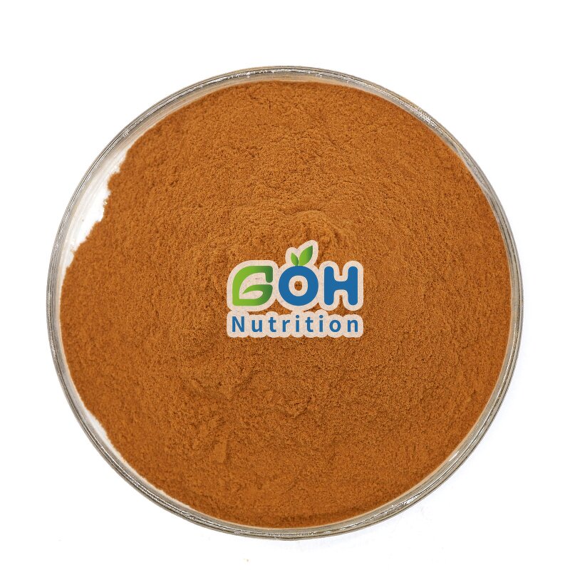 Oyster Mushroom Extract Powder Manufacturer - Dry High Quality GOH Supplement
