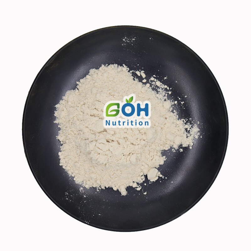 Cheese Powder Manufacturer - Flavor Wholesale Bulk Food Additives