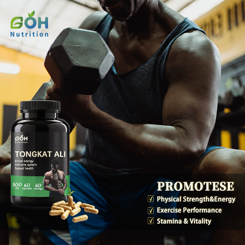 Tongkat Ali Capsules Manufacturer - 500mg Root Extract OEM Private Label