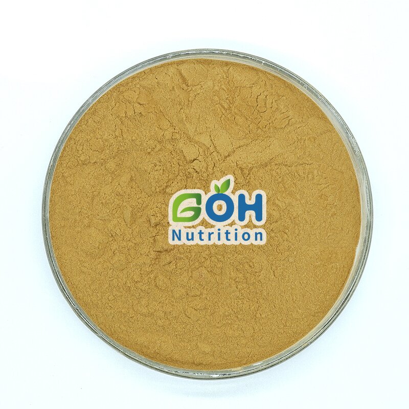 Chaga Mushroom Extract Manufacturer - Best Price Plant Extract GOH Supplement
