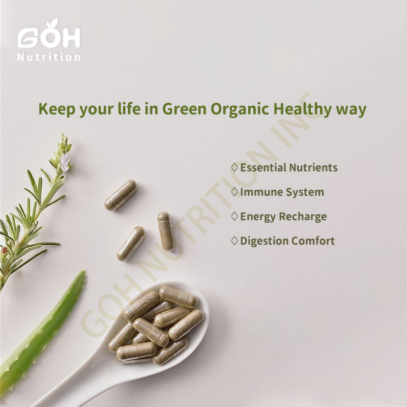 Fisetin Powder Manufacturer - Cotinus Coggygria Extract 98% Manufacturer Supply