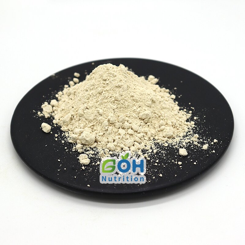 Soy Isoflavone Powder Manufacturer - 5%/20%/40%/90% Natural Soybean Extract GOH Supply