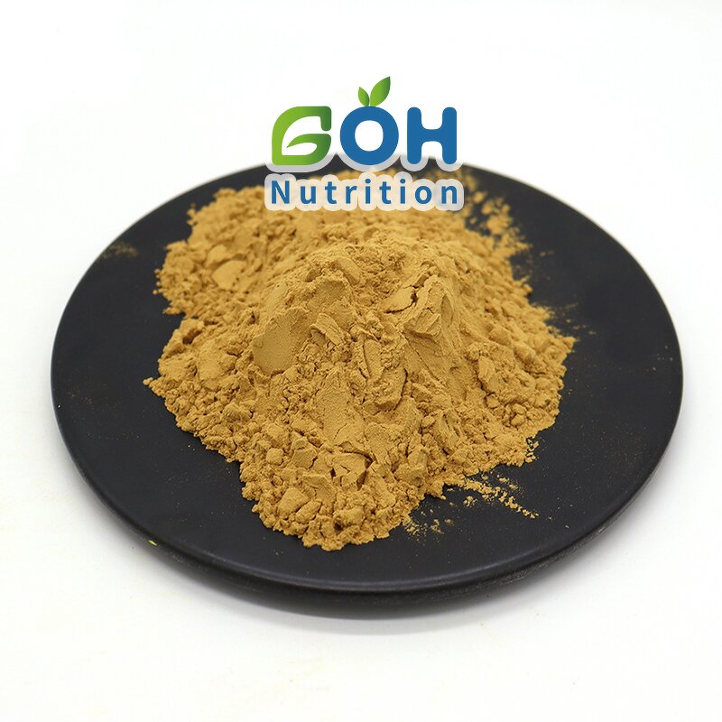 Saponin Powder Manufacturer - 40%-98% Best Price